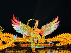 -武汉园博园(武汉自然博物馆)