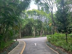 -深圳国际园林花卉博览园