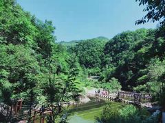 -牛背梁国家森林公园