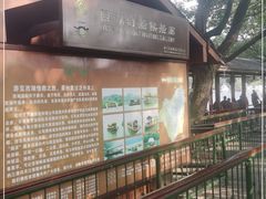 -西湖外事游船(花港观鱼码头)