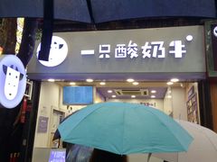 门面-一只酸奶牛(八一路店)
