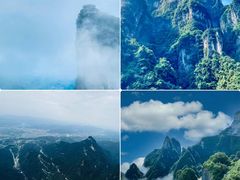 -张家界天门山国家森林公园