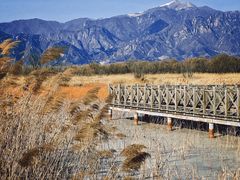 -野鸭湖国家湿地公园