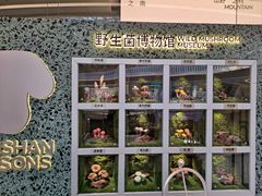 -芸山季·云南山珍菌火锅(南翔印象城MEGA店)