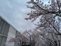 -龙美术馆(西岸馆)