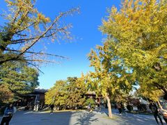 -北京鲁迅博物馆(北京新文化运动纪念馆鲁博馆区)