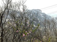 -抱犊寨风景区