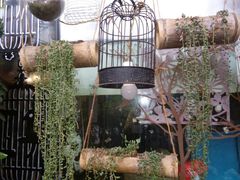 -树洞桌游宠咖小酒馆
