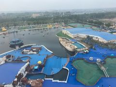 -秦皇岛乐岛海洋王国