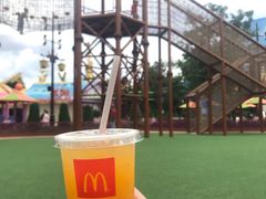 -七彩云南欢乐世界