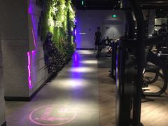 -威尔仕健身·游泳(KING88店)