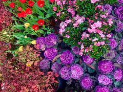 -龟山风景区-龟山电视塔