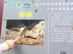 -北京上方山国家森林公园