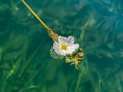 -丽江泸沽湖景区