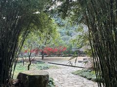 -黄公望隐居地