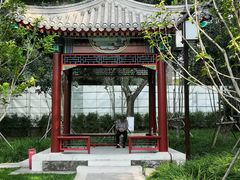 -西海子公园