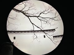 -鹤祥宫·影院足道·SPA连锁(鸿尊布吉店)