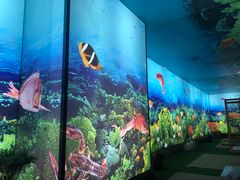 -海洋之星休闲汗蒸浴场