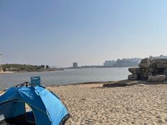 -九龙湖公园