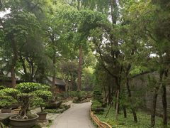 -成都武侯祠博物馆