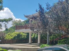 -广州市石门国家森林公园