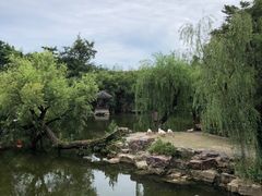 -水绘园