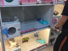 -lincat·猫舍(广州店)