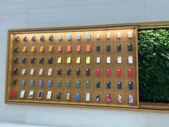 -Apple零售店(苏州店)