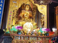 -普陀山风景名胜区-法雨禅寺