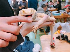 -藦茜花园宠物主题亲子互动体验馆(国顺东路店)