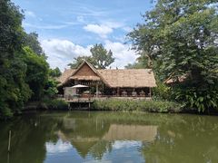 -大象粑粑造纸公园