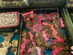 -北海港酒楼 海鲜代加工 粤菜(淡村商贸城店)
