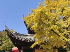 -龙华素斋(龙华路店)