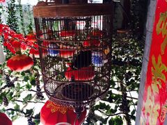 iphone_upload_pic-郭家大院(新源店)