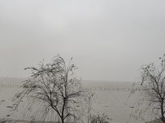 -大通湖