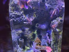 -太平洋海底世界