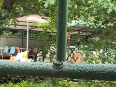 -大连冰峪旅游度假区