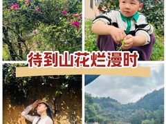-杨家堂村