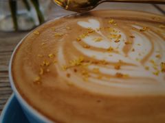 -SONGUOLIFE松果咖啡(七莘路店)