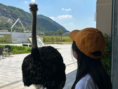 -趣飞飞黑麋峰国际滑翔伞基地