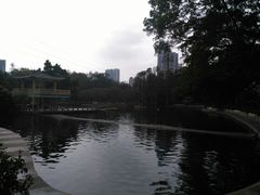 -晓港公园