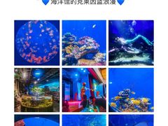 -江和美海洋公园