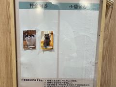 -MOCHA明星猫咖(田子坊店)