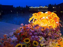 -军山湖云水间生态农业旅游景区