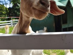 -哈尔滨北方森林动物园