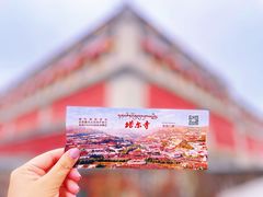 -塔尔寺菩提树