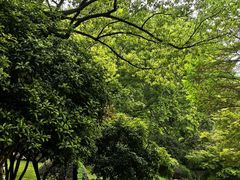 -中国茶叶博物馆(双峰馆区)