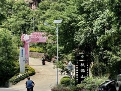 -桃源山庄·水蜜桃采摘·柴火鸡·烧烤团建(龙泉山店)