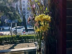 -顺承小院儿
