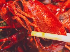 -杨氏青龙虾·羊蝎子(金盛路总店)